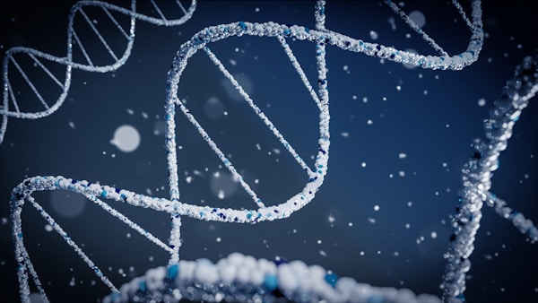 The Health Benefits of Nicotinamide Adenine Dinucleotide 2 img