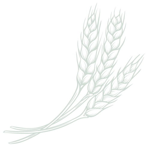 a black and white image of a tie