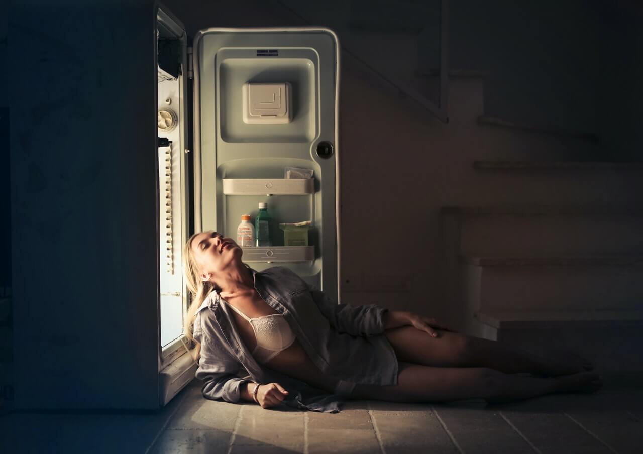What's Wrong With My Refrigerator? 2