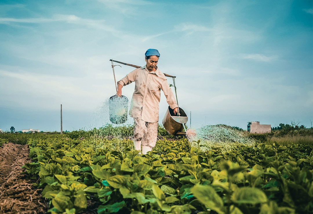 What Does It Take to Run a Farm? 1 img
