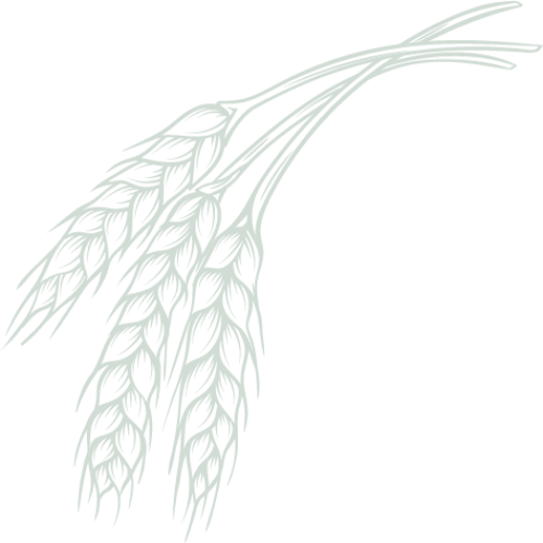 a close-up of a logo