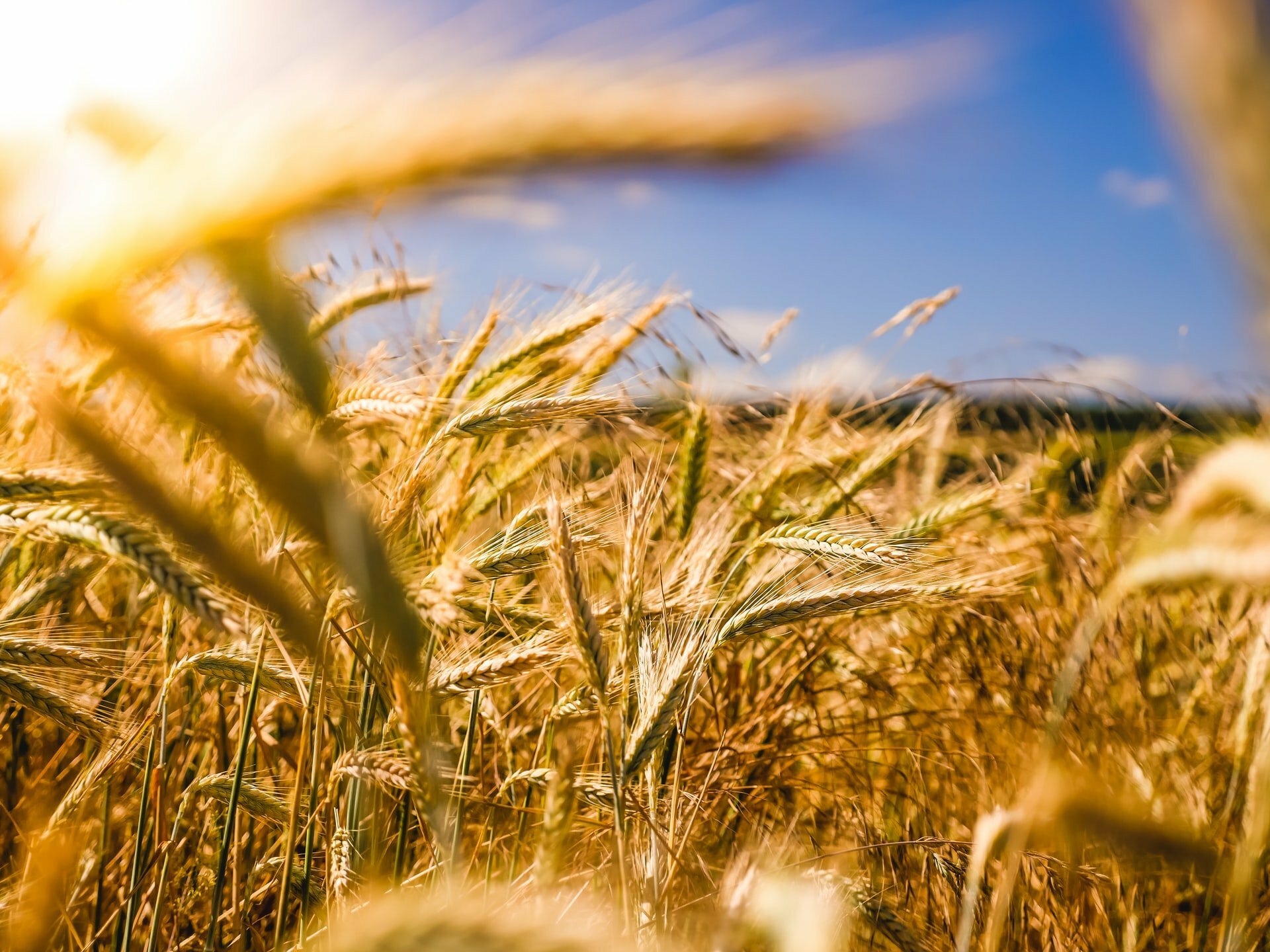 What Does It Take to Run a Farm? 2